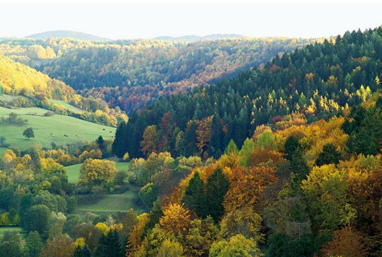 Hummelcasa Ferienhaus Bayreuth Pittersdorf Экстерьер фото